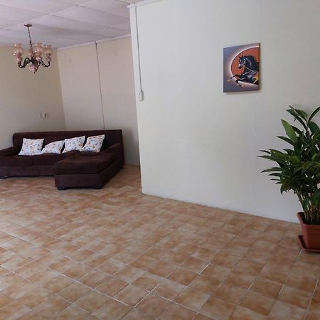 Mi Hogar Apartment Julianadorp Exterior photo