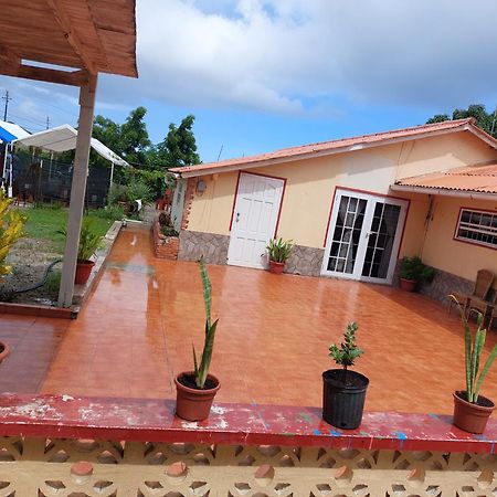 Mi Hogar Apartment Julianadorp Exterior photo